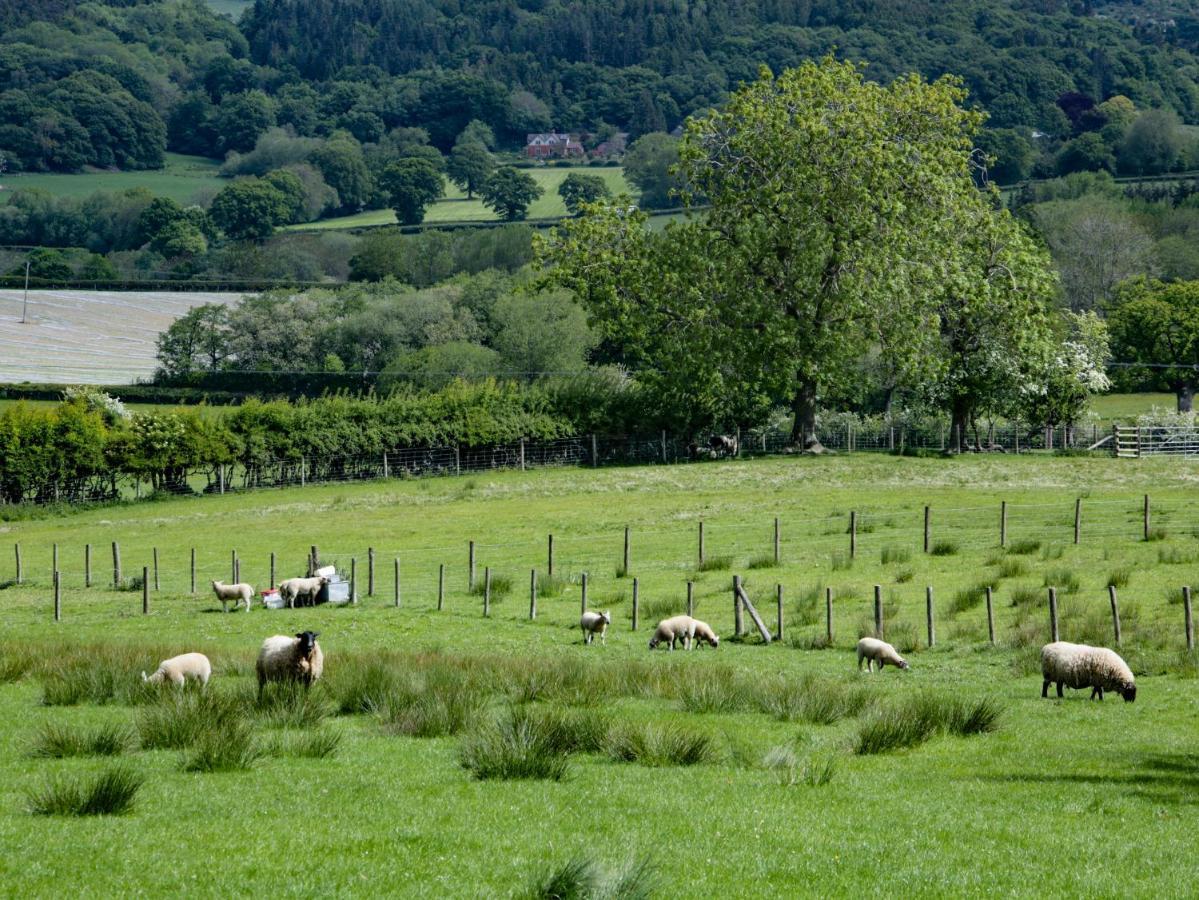 Broughton Stables