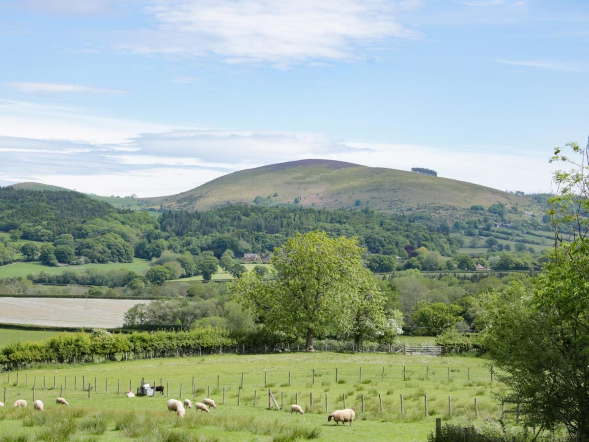 Broughton Stables *