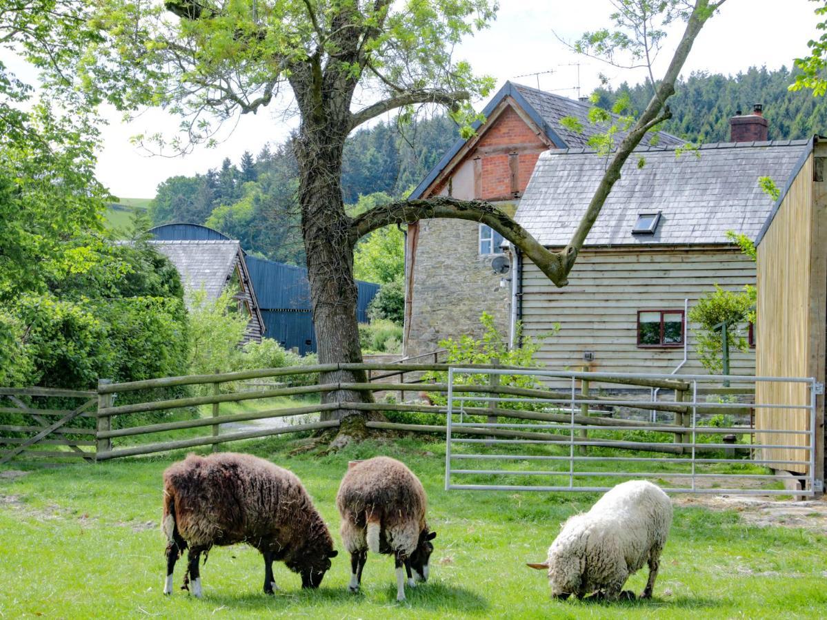Broughton Stables *